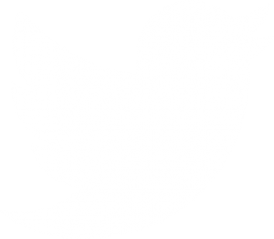 Twitter Call to Action Button for Pacific Specialty Brands